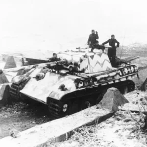 41965
