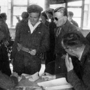 Debriefing Cwynar sunglasses