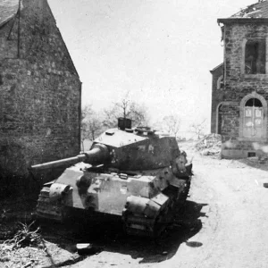 Panther