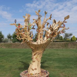 Memory Tree for World War One