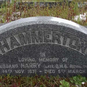 Henry HAMMERTON