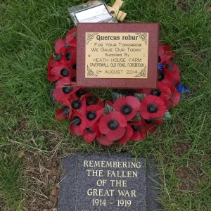 Oak Tree Memorial WW1