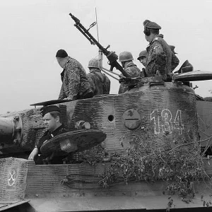 Tiger tank 134