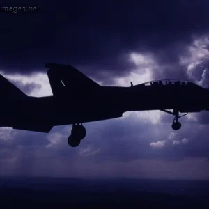 F-14 Tomcat against the sky