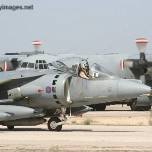 RAF GR7 Harrier