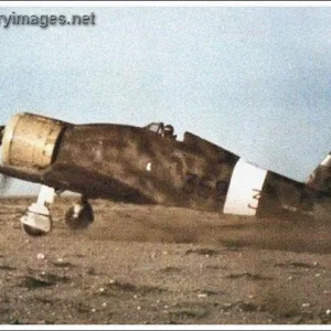 Fiat G-50