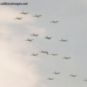 P-51 Mustangs
