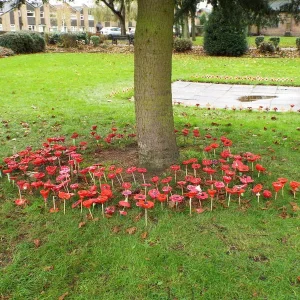 Hand made clay poppies at Penkhull