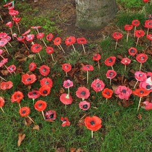 Hand made clay poppies at Penkhull