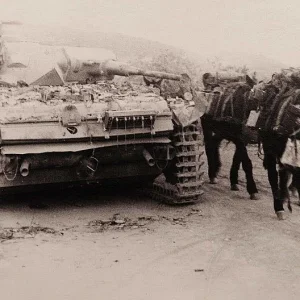 33073