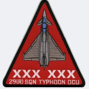 29 Squadron Patch