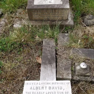 Albert David STANTON