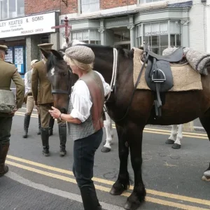 War Horses
