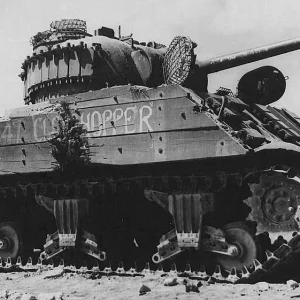 Sherman "Clodhopper"