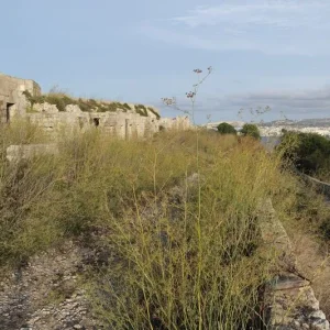 Fort Campbell, Mellieha, Malta