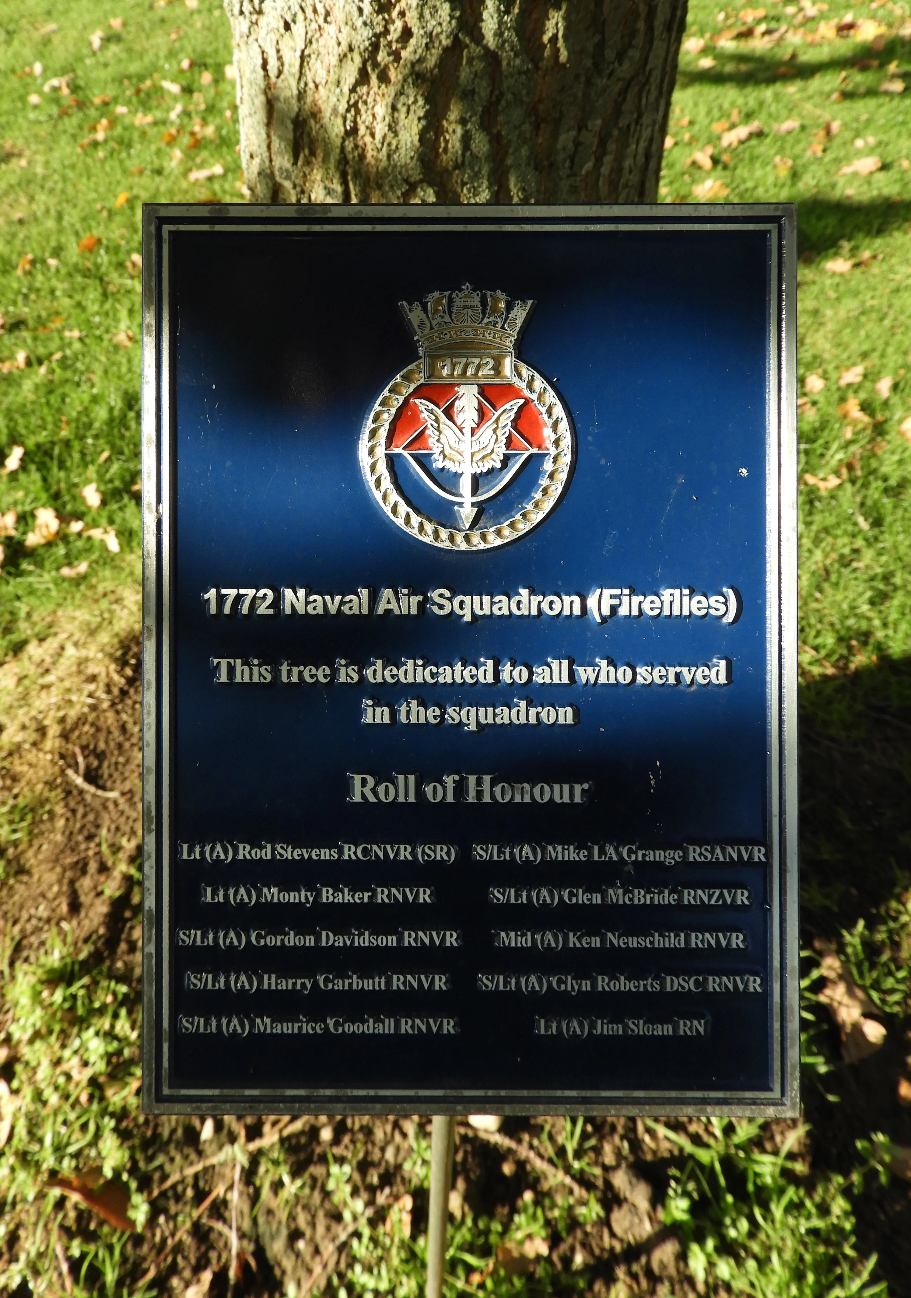 1772 Naval Air Sqdn  (1)
