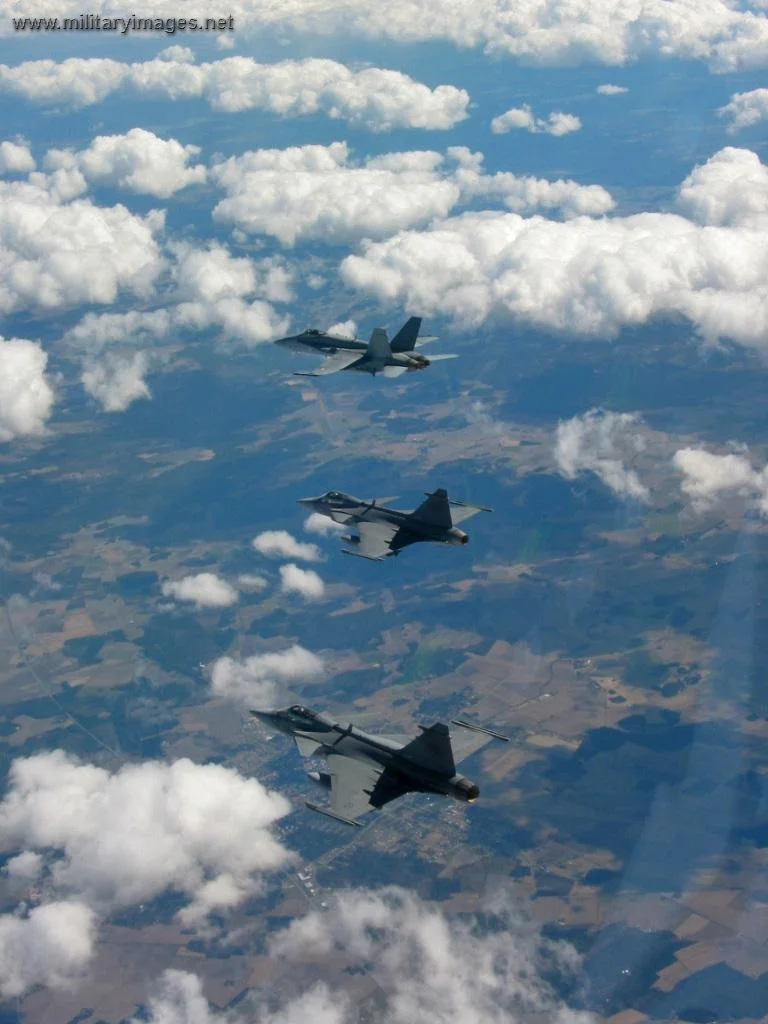 2 x Gripen & Hornet