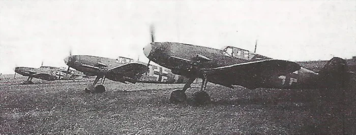 27434406