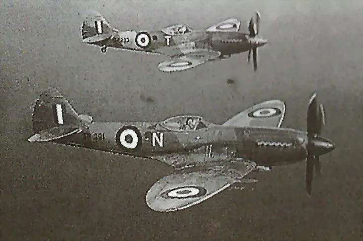 27434532-2.jpg