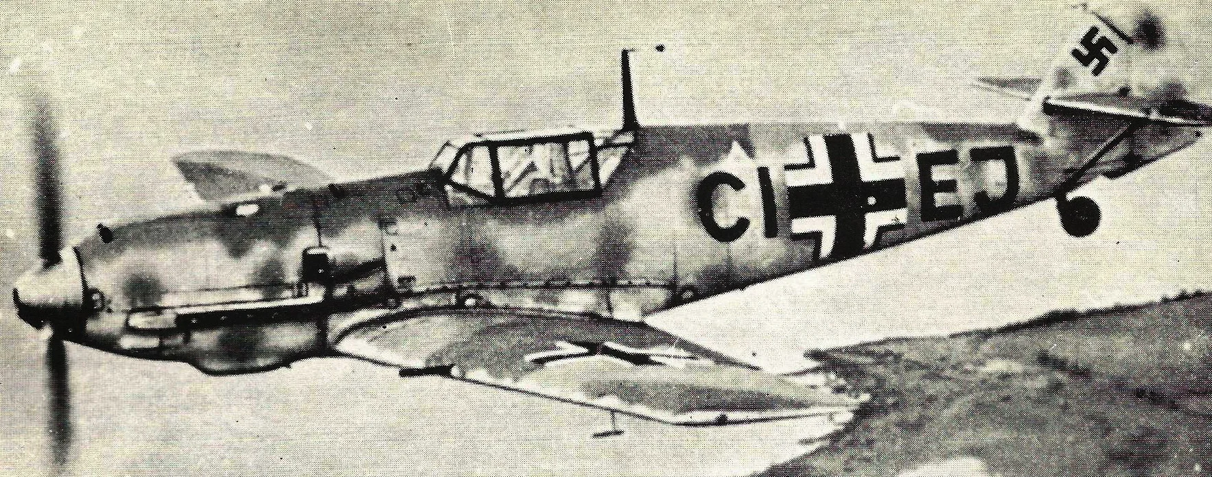 27435025.jpg
