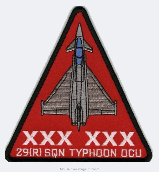 29 Squadron Patch