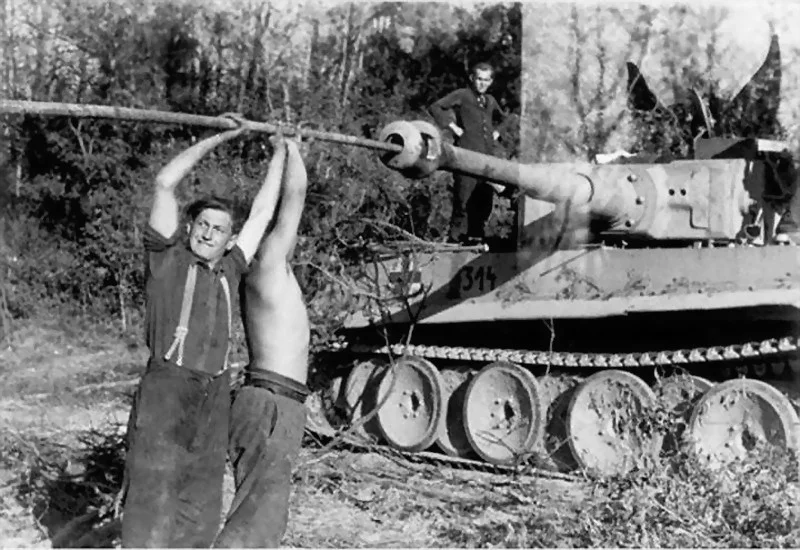 31686