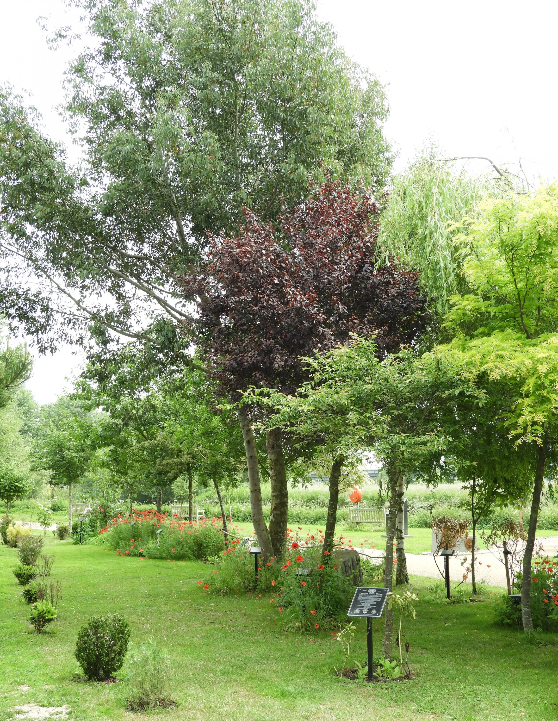 Allied Special Forces Memorial Grove