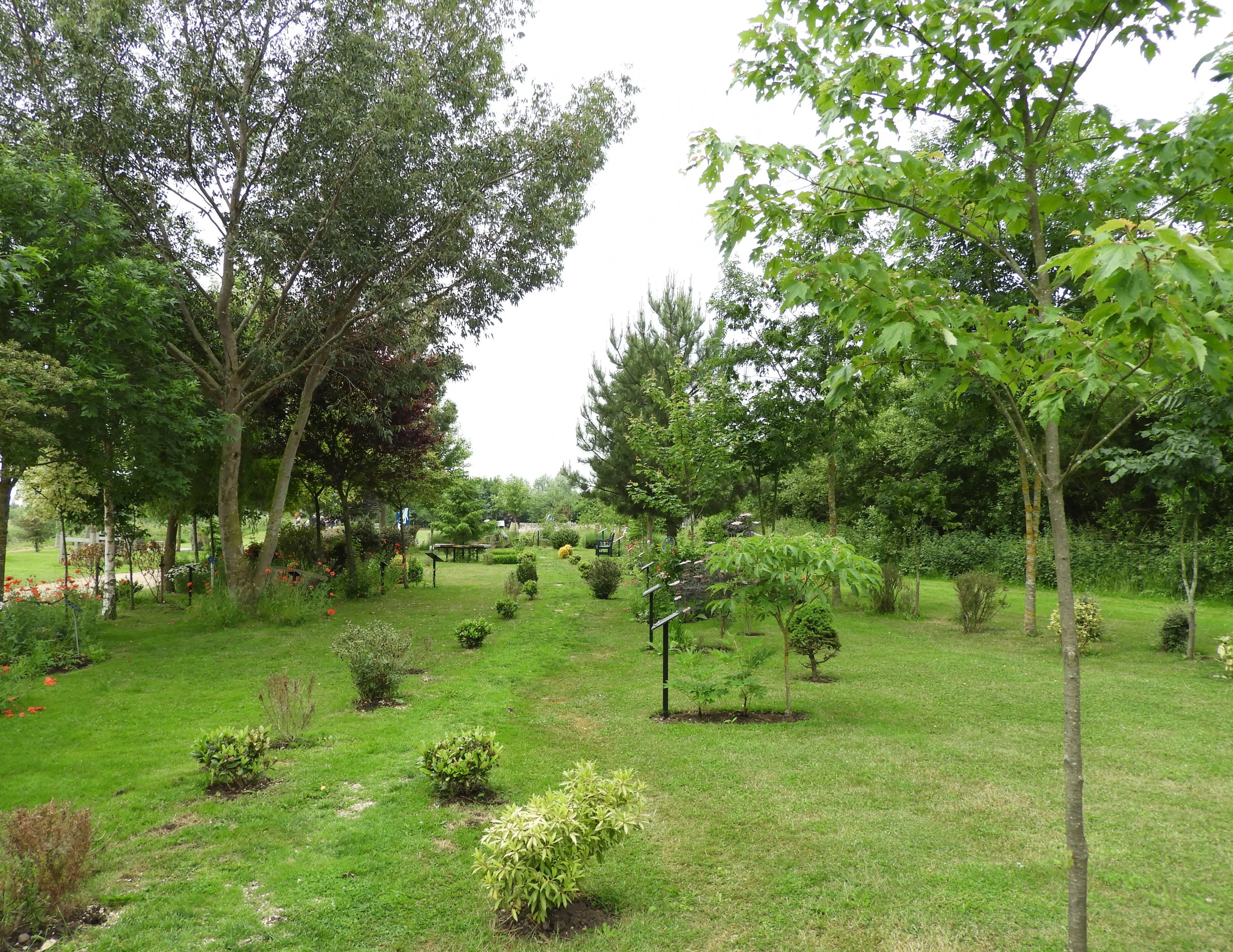 Allied Special Forces Memorial Grove