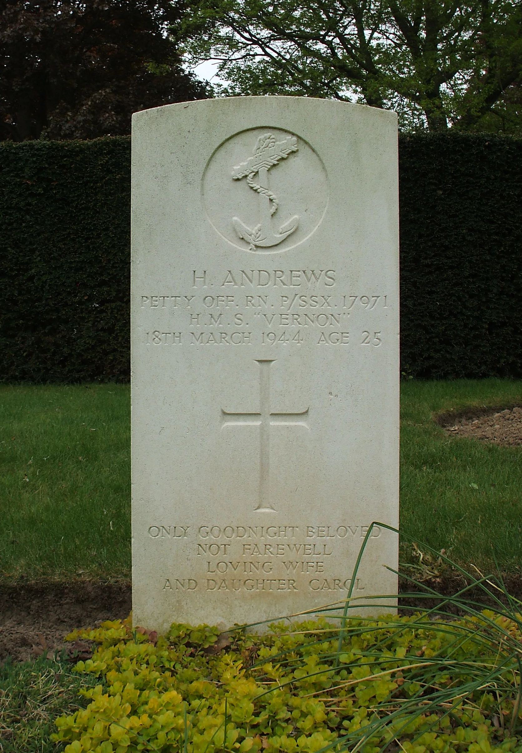 ANDREWS H ANDREWS