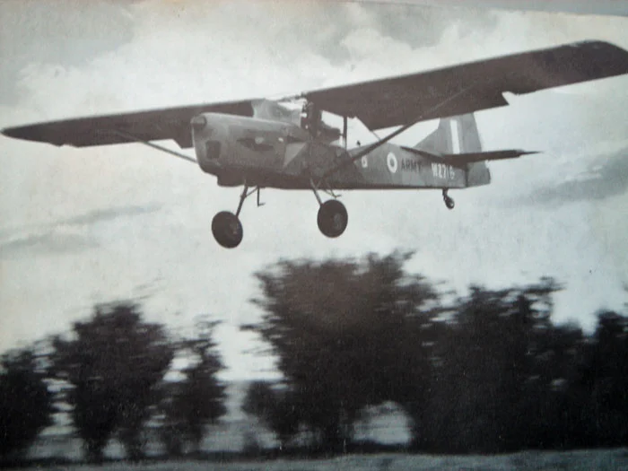 Auster