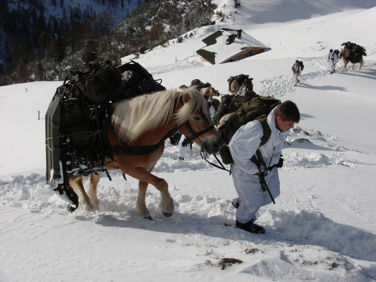 Austrian Soldiers With A Poney