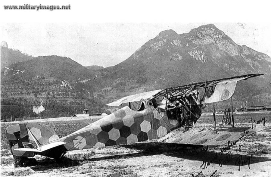 Aviatik D.I
