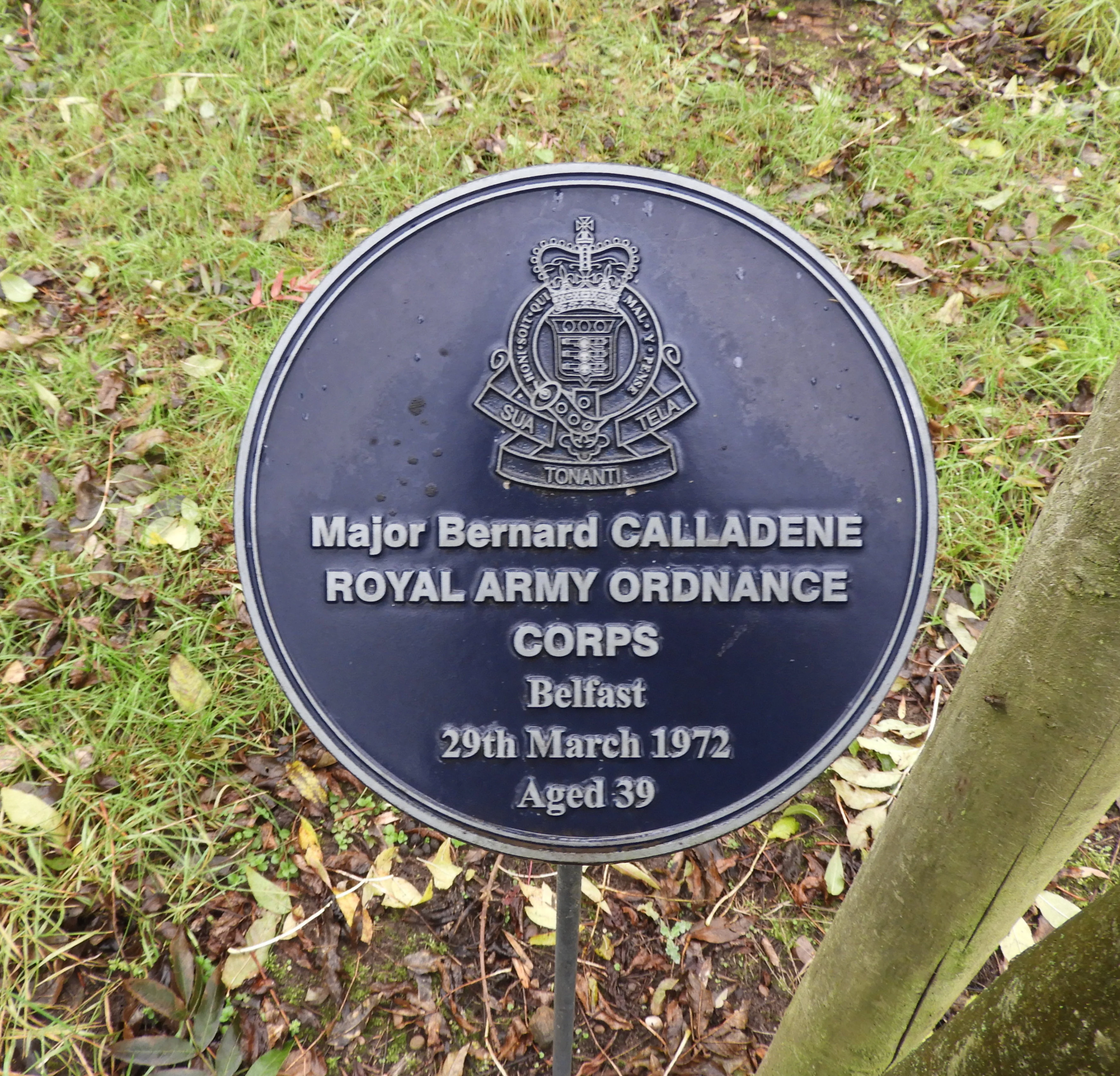 Bernard CALLADENE