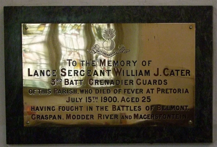 Cater, William John (Cater Bros)