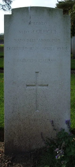 Colucci, Vito