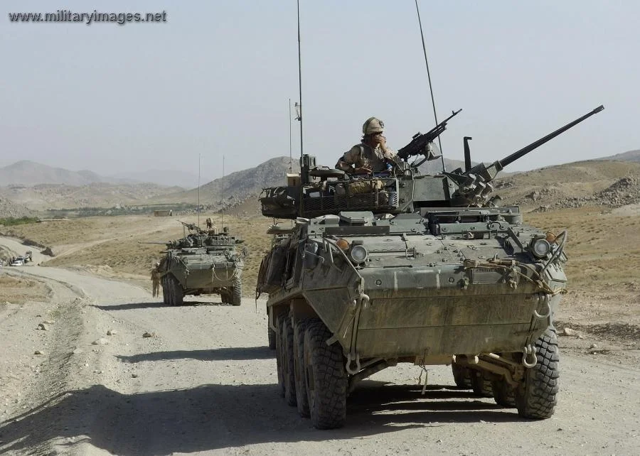 Crews of LAV III's keep an eye on their flanks