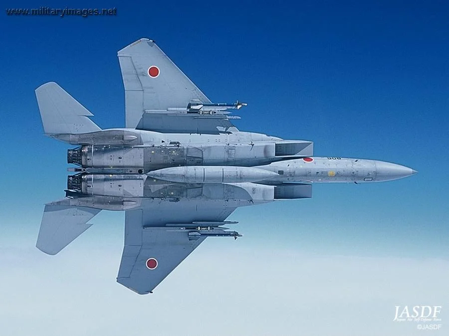 F-15 - Japanese Air Self-Defence Force (JASDF)