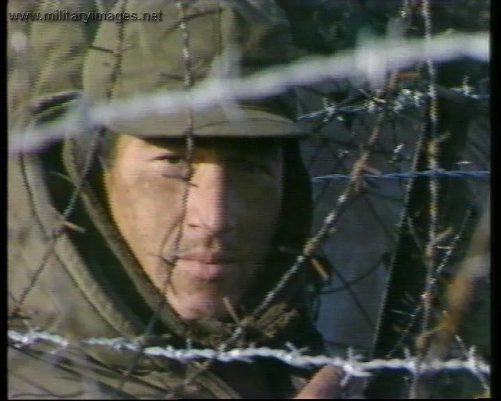 Falklands War