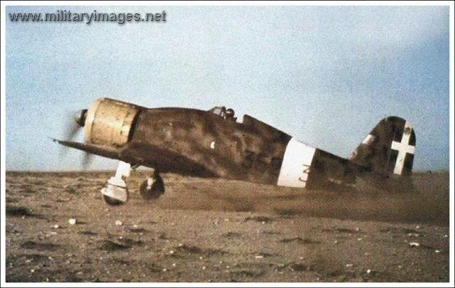 Fiat G-50
