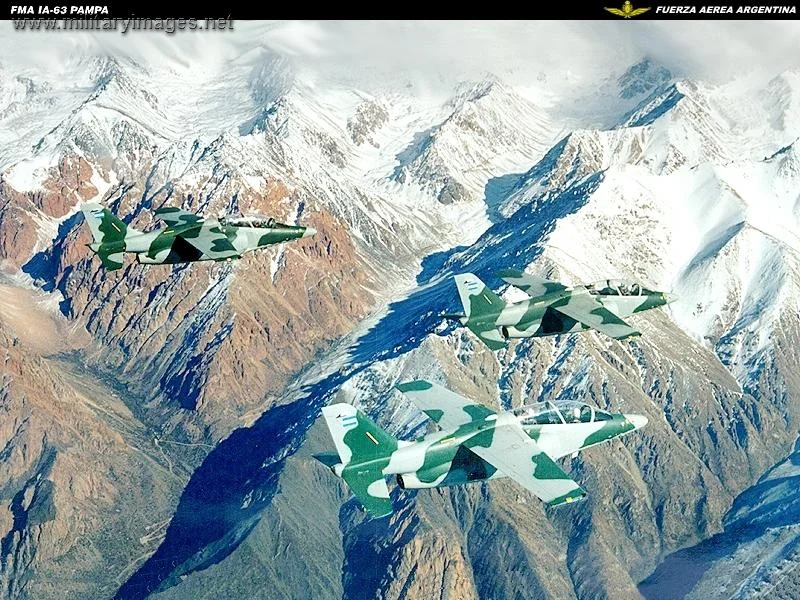 FMA IA-63 Pampa - Fuerza Aerea Argentina