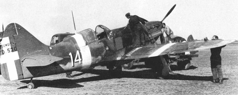 french fighters