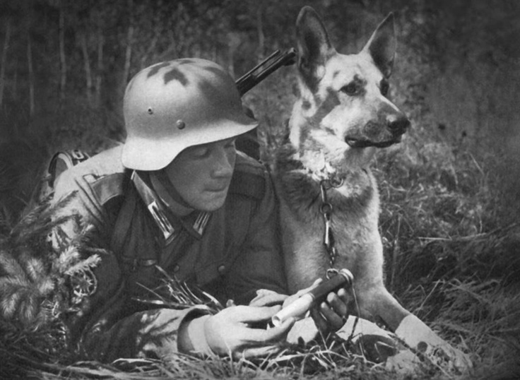 German Soldier And His Dog WW2