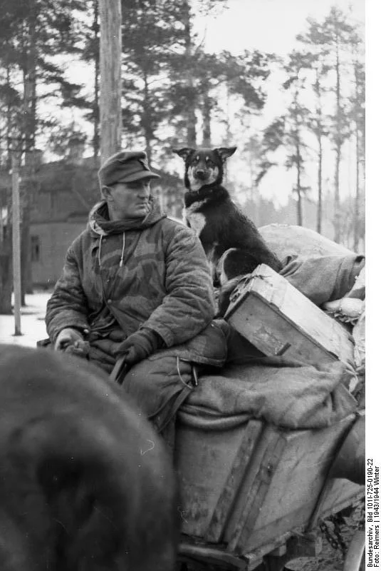 German soldier with dog