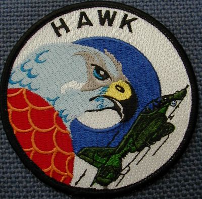 Hawk pilot badge