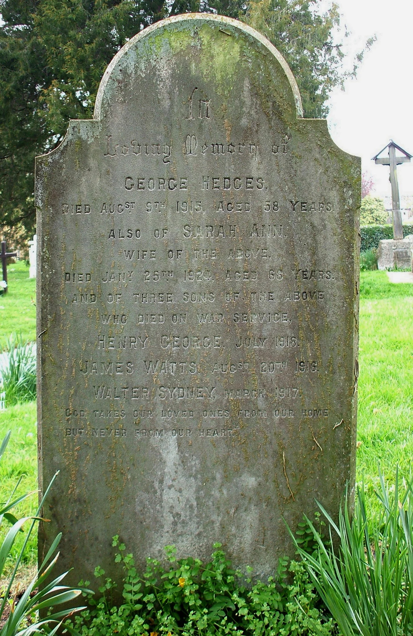 Henry George HEDGES