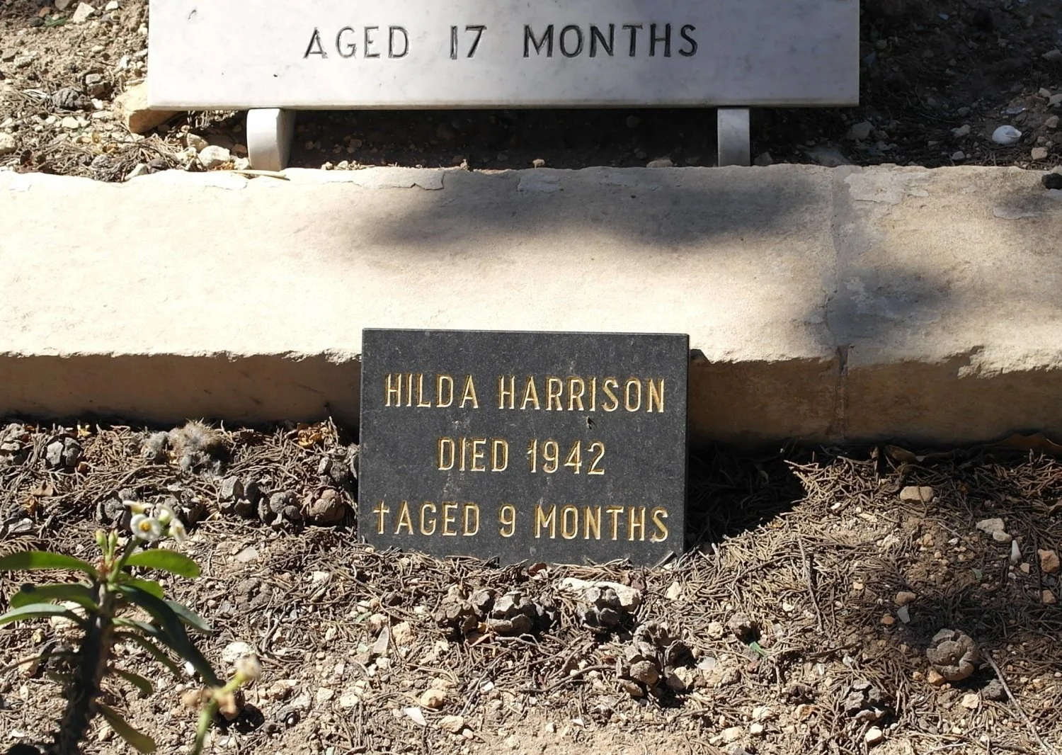 Hilda HARRISON
