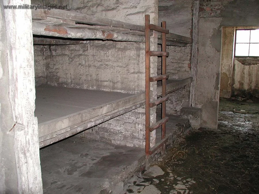 Holocaust