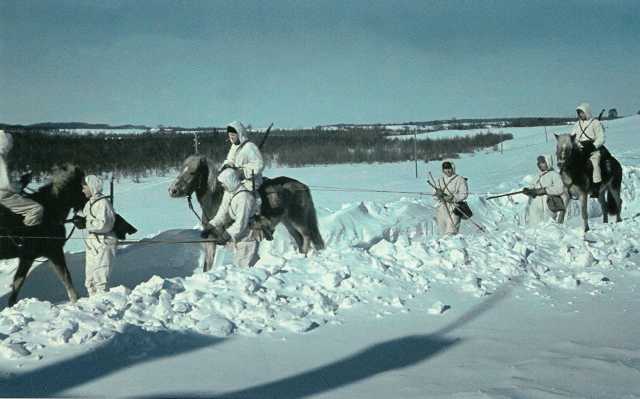 Horse-ski patrol