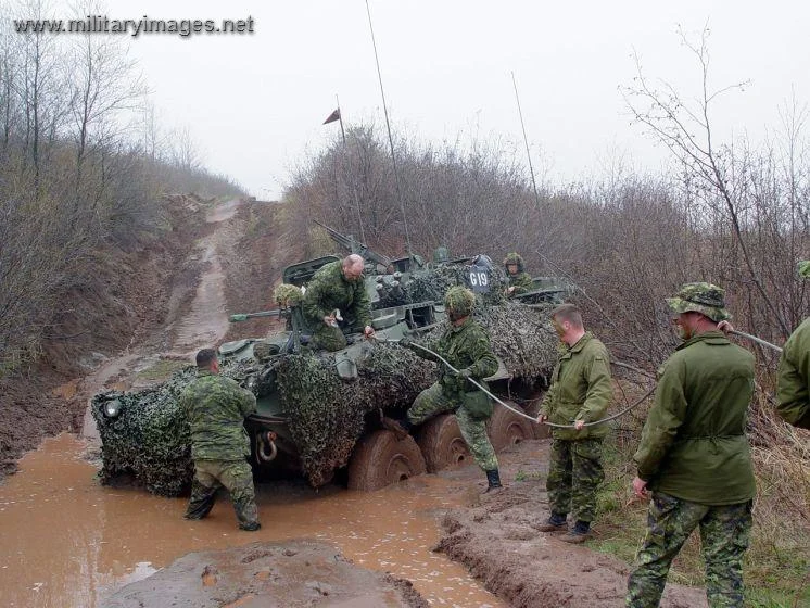 LAV 3