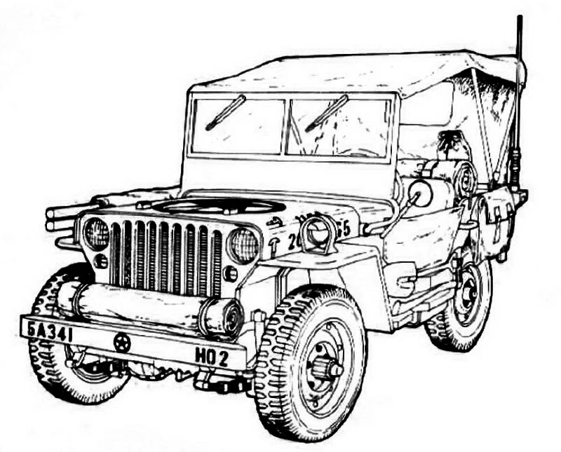 line drawings